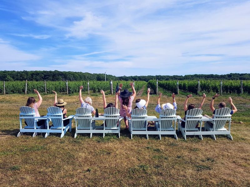 Standard Wine Tour (7-10 Guests)