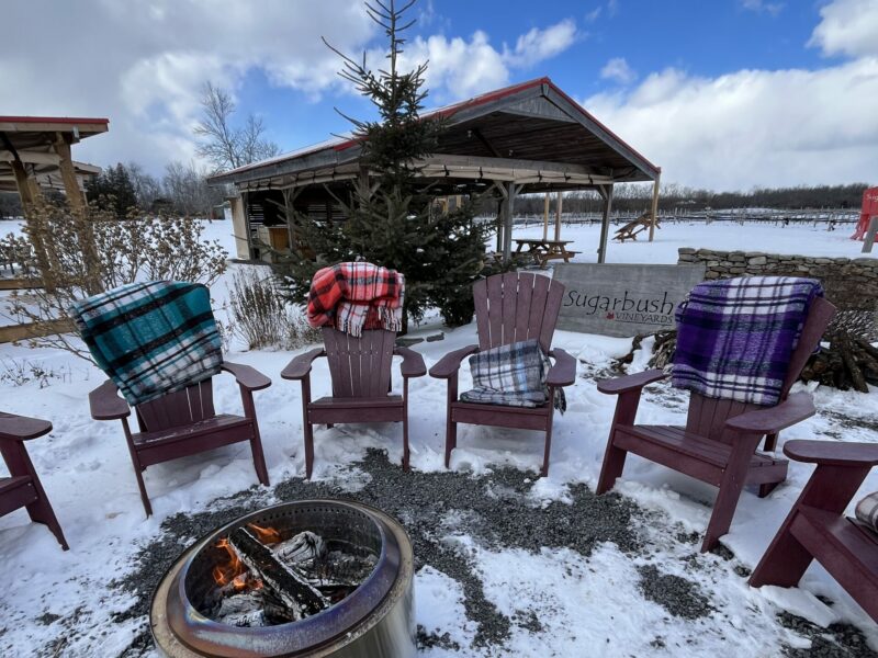 Winter Public Wine Tour