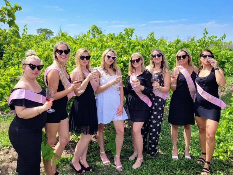 Private Wine Tour (7-8 Guests)