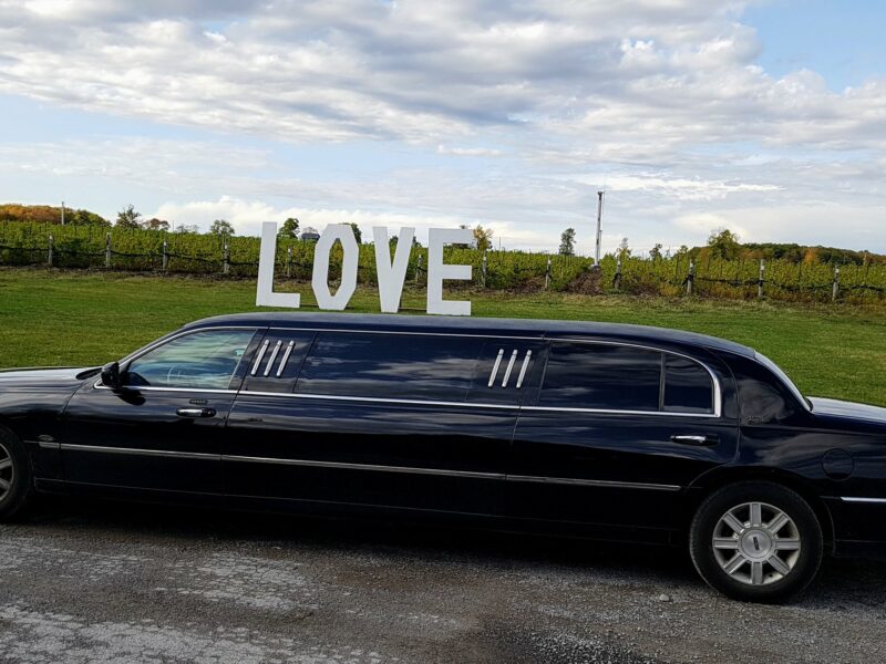 Private Limo Wine Tour (9-10 Guests)